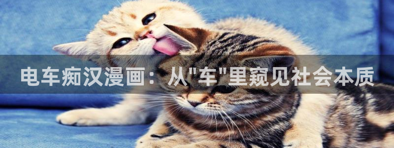 香蕉漫画vip