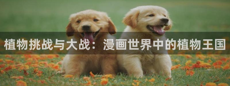 香蕉漫画免费登录